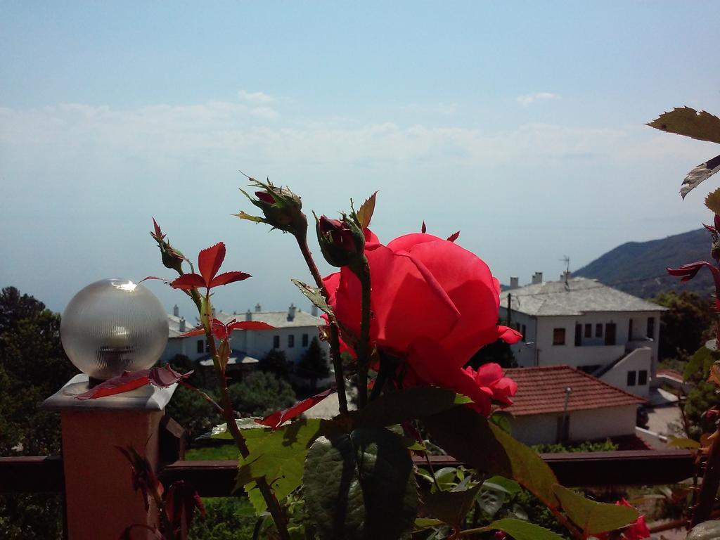 Alkmini Hotel Agios Dimitrios  Exterior photo